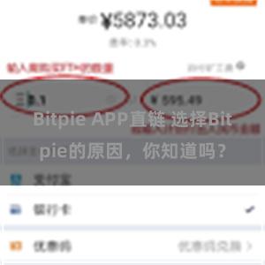 Bitpie APP直链 选择Bitpie的原因，你知道吗？