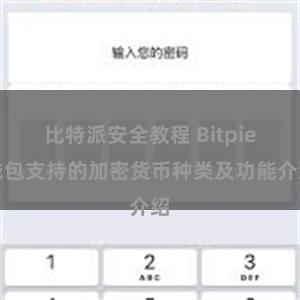 比特派安全教程 Bitpie钱包支持的加密货币种类及功能介绍