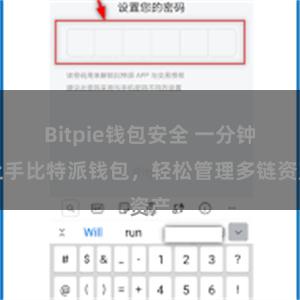 Bitpie钱包安全 一分钟上手比特派钱包，轻松管理多链资产