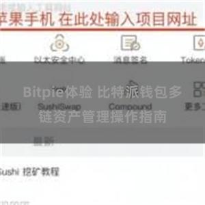 Bitpie体验 比特派钱包多链资产管理操作指南