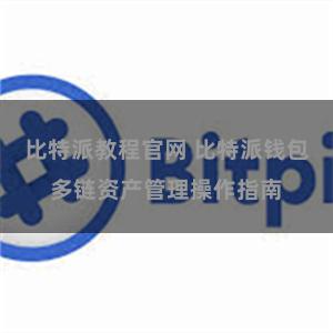 比特派教程官网 比特派钱包多链资产管理操作指南