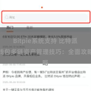 Bitpie系统支持 比特派钱包多链资产管理技巧：全面攻略