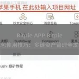 Bitpie APP Bitpie钱包使用技巧：多链资产管理全攻略