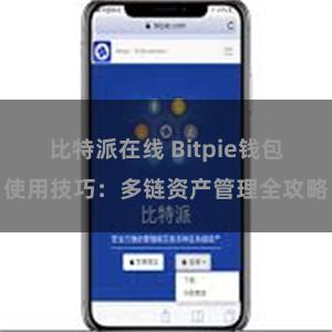 比特派在线 Bitpie钱包使用技巧：多链资产管理全攻略