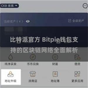 比特派官方 Bitpie钱包支持的区块链网络全面解析