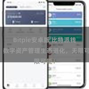 Bitpie安卓版 比特派钱包：数字资产管理生态进化，无限可能！