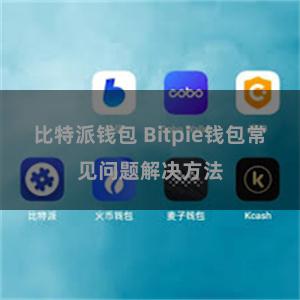 比特派钱包 Bitpie钱包常见问题解决方法
