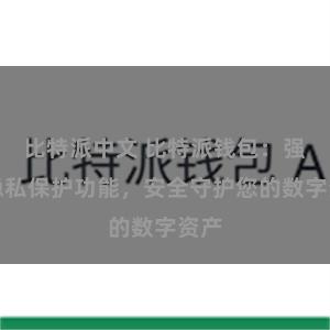 比特派中文 比特派钱包：强大隐私保护功能，安全守护您的数字资产