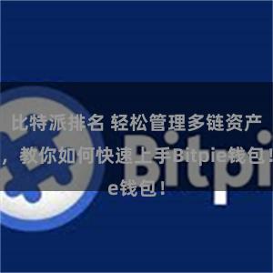 比特派排名 轻松管理多链资产，教你如何快速上手Bitpie钱包！