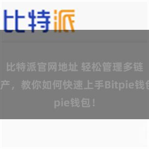 比特派官网地址 轻松管理多链资产，教你如何快速上手Bitpie钱包！