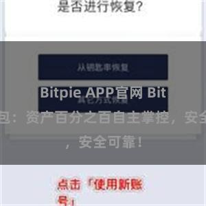 Bitpie APP官网 Bitpie钱包：资产百分之百自主掌控，安全可靠！