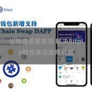 比特派系统支持 解决Bitpie钱包常见使用问题