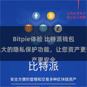 Bitpie体验 比特派钱包：强大的隐私保护功能，让您资产更安全