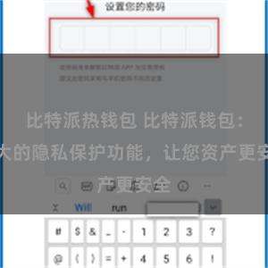 比特派热钱包 比特派钱包：强大的隐私保护功能，让您资产更安全