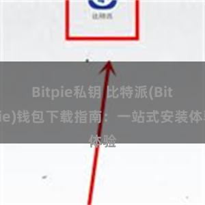 Bitpie私钥 比特派(Bitpie)钱包下载指南：一站式安装体验