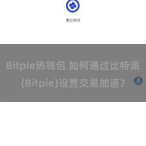 Bitpie热钱包 如何通过比特派(Bitpie)设置交易加速？