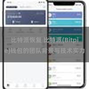 比特派恢复 比特派(Bitpie)钱包的团队背景与技术实力