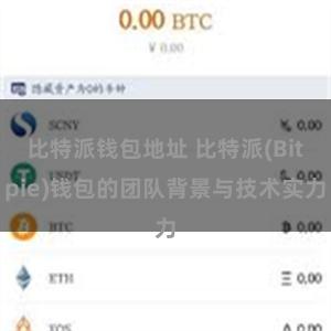 比特派钱包地址 比特派(Bitpie)钱包的团队背景与技术实力