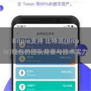 Bitpie支持 比特派(Bitpie)钱包的团队背景与技术实力