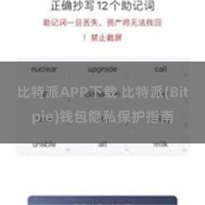 比特派APP下载 比特派(Bitpie)钱包隐私保护指南