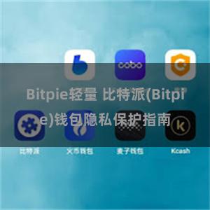 Bitpie轻量 比特派(Bitpie)钱包隐私保护指南