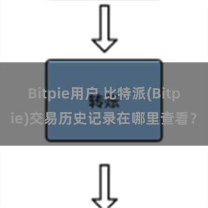 Bitpie用户 比特派(Bitpie)交易历史记录在哪里查看？