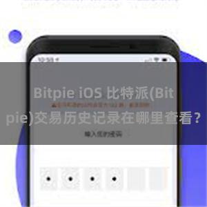 Bitpie iOS 比特派(Bitpie)交易历史记录在哪里查看？