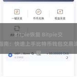 Bitpie恢复 Bitpie交易指南：快速上手比特币钱包交易流程