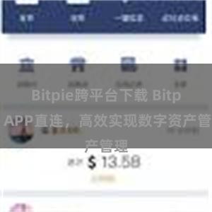 Bitpie跨平台下载 Bitpie APP直连，高效实现数字资产管理