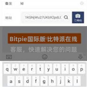 Bitpie国际版 比特派在线客服，快速解决您的问题