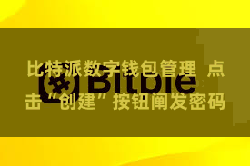 比特派数字钱包管理  点击“创建”按钮阐发密码