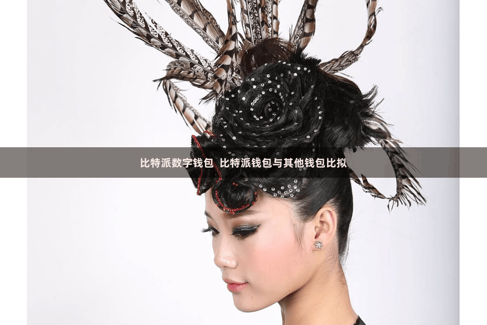 比特派数字钱包  比特派钱包与其他钱包比拟