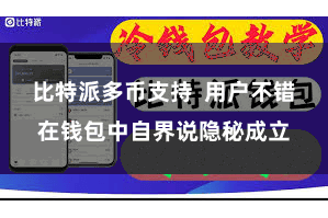 比特派多币支持  用户不错在钱包中自界说隐秘成立
